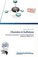 Chondro-4-Sulfatase