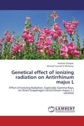 Genetical effect of ionizing radiation on Antirrhinum majus L - Hesham Eltayeb/ Ahmed Youssef El-Metainy