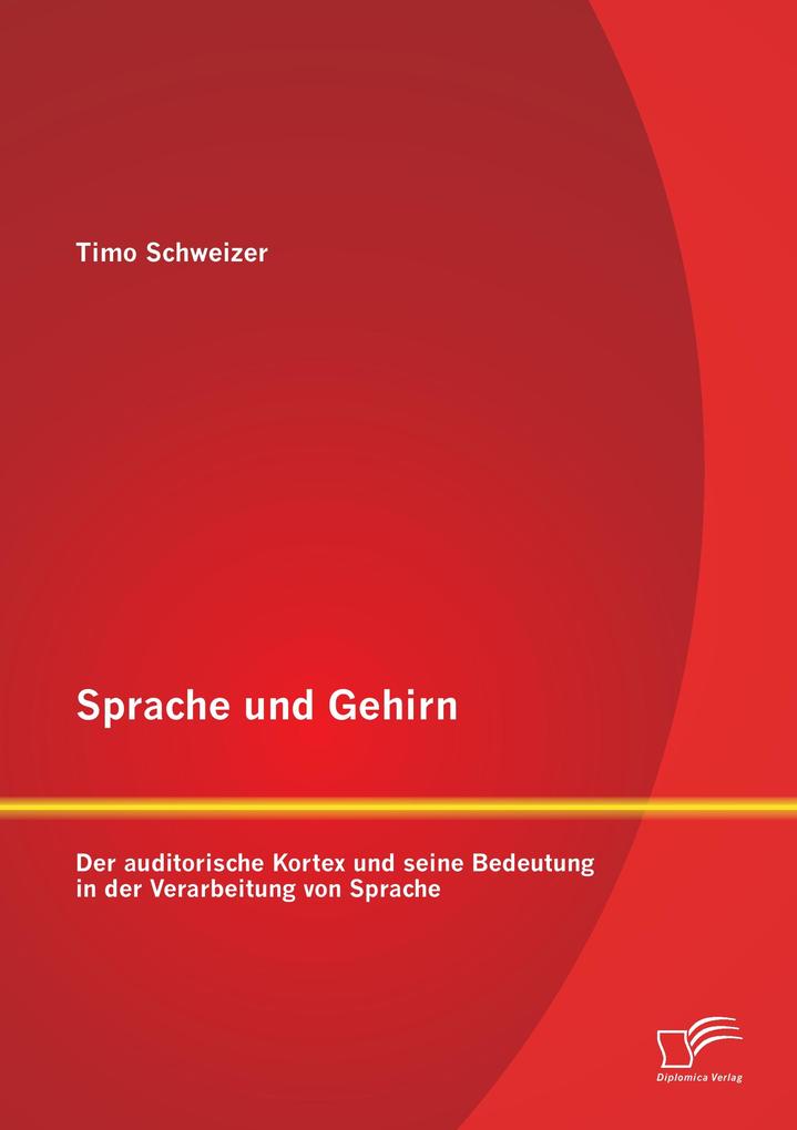 Sprache und Gehirn: Der auditorische Kortex und seine Bedeutung in der Verarbeitung von Sprache