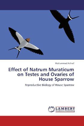 Effect of Natrum Muraticum on Testes and Ovaries of House Sparrow - Muhammad Ashraf
