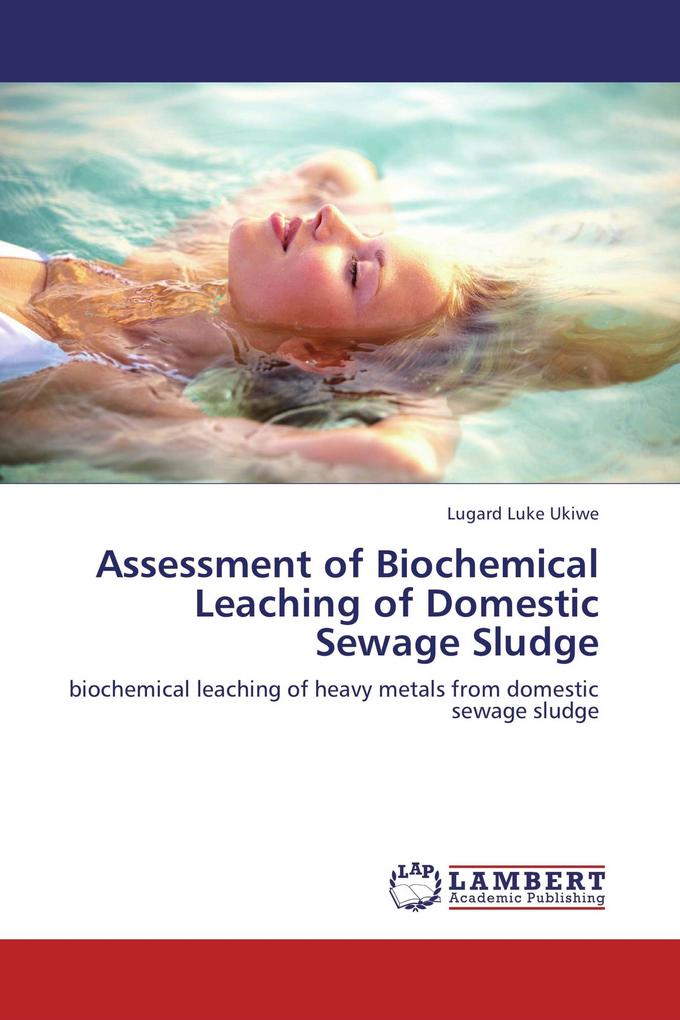 Assessment of Biochemical Leaching of Domestic Sewage Sludge