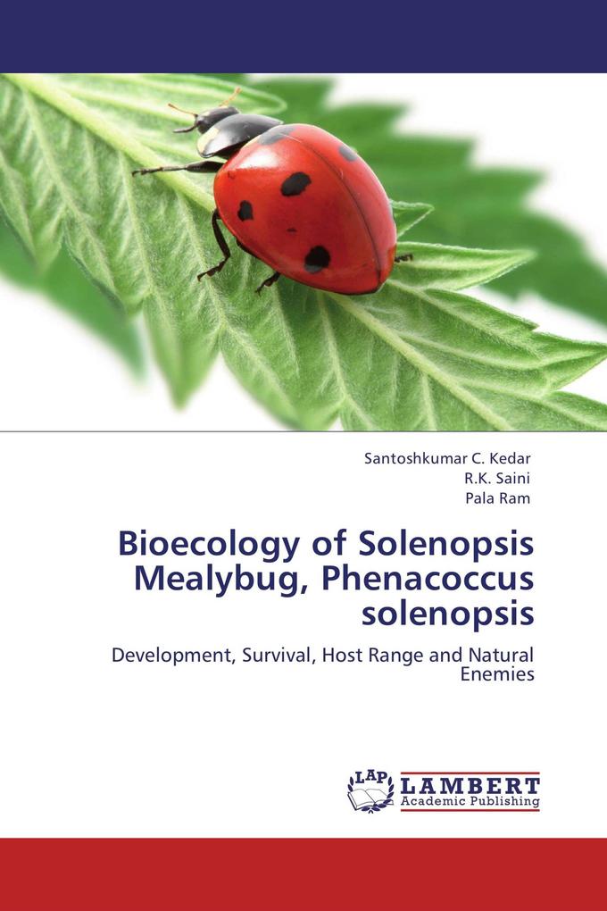 Bioecology of Solenopsis Mealybug Phenacoccus solenopsis