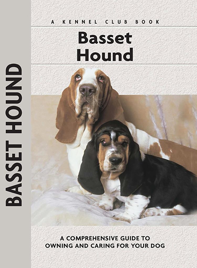 Basset Hound
