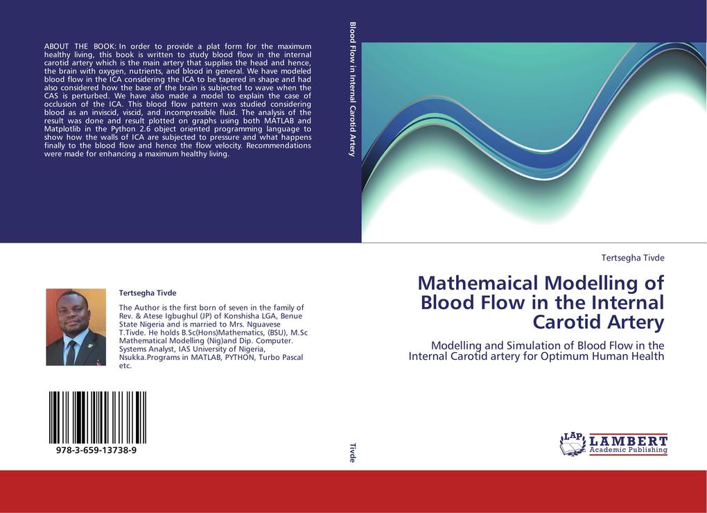 Mathemaical Modelling of Blood Flow in the Internal Carotid Artery
