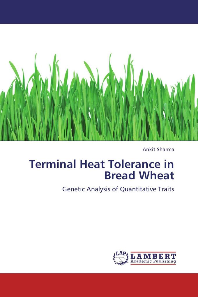 Terminal Heat Tolerance in Bread Wheat