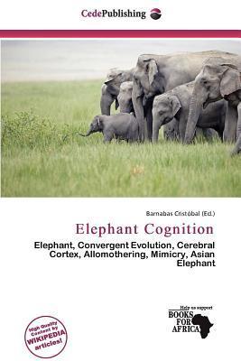 Elephant Cognition