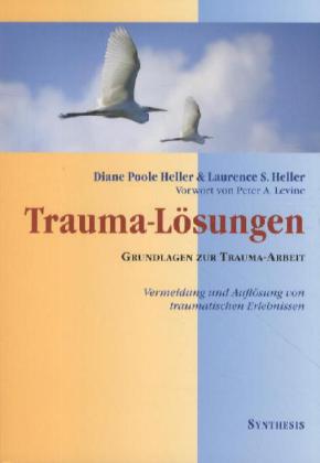 Trauma- Lösungen