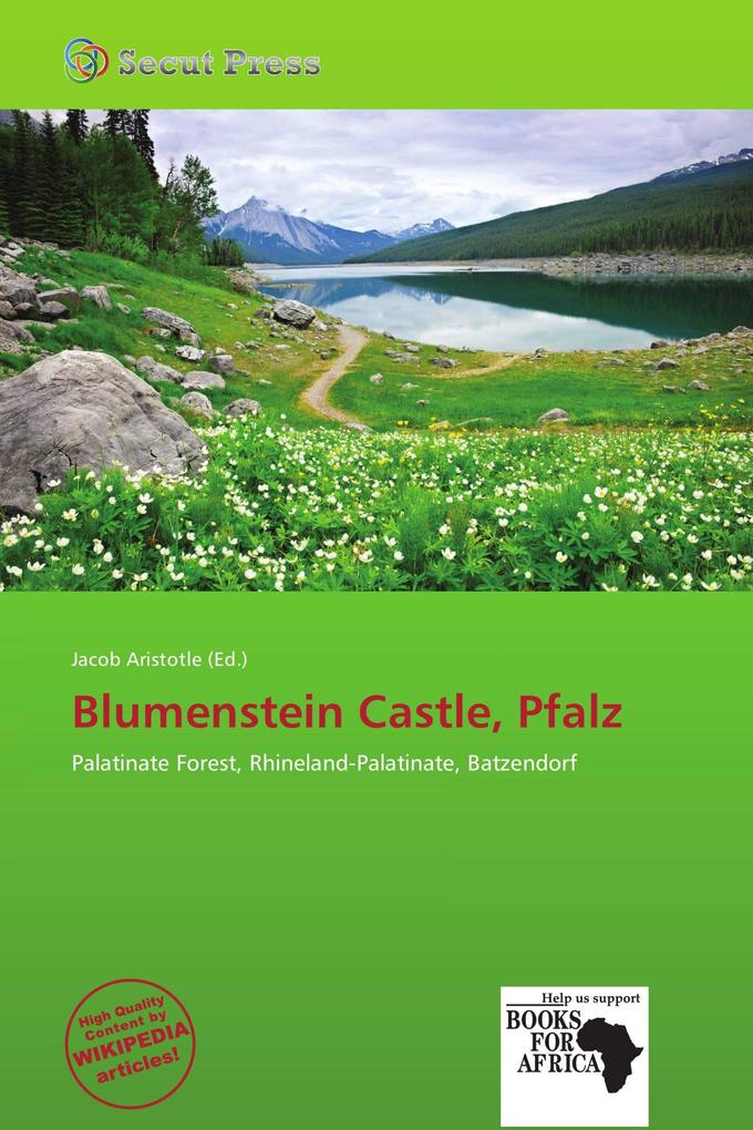 Blumenstein Castle Pfalz