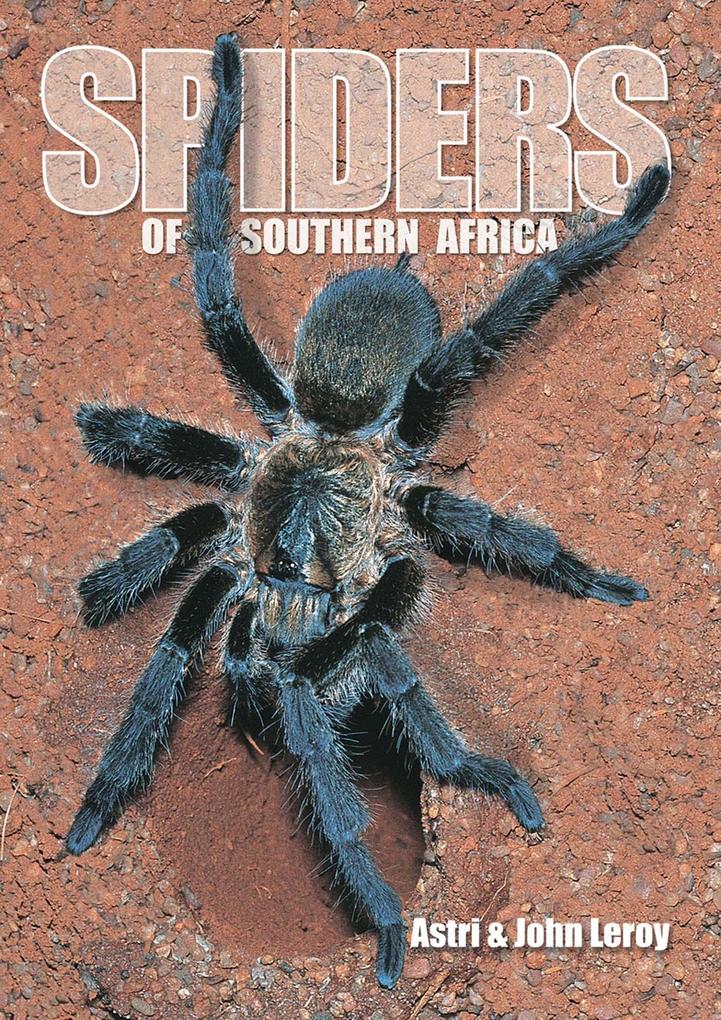 Spiders of Southern Africa - Astri Leroy