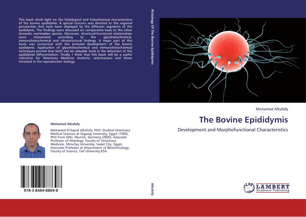 The Bovine Epididymis