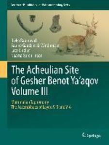 The Acheulian Site of Gesher Benot Ya'aqov Volume III - Rivka Rabinovich/ Sabine Gaudzinski-Windheuser/ Lutz Kindler/ Naama Goren-Inbar