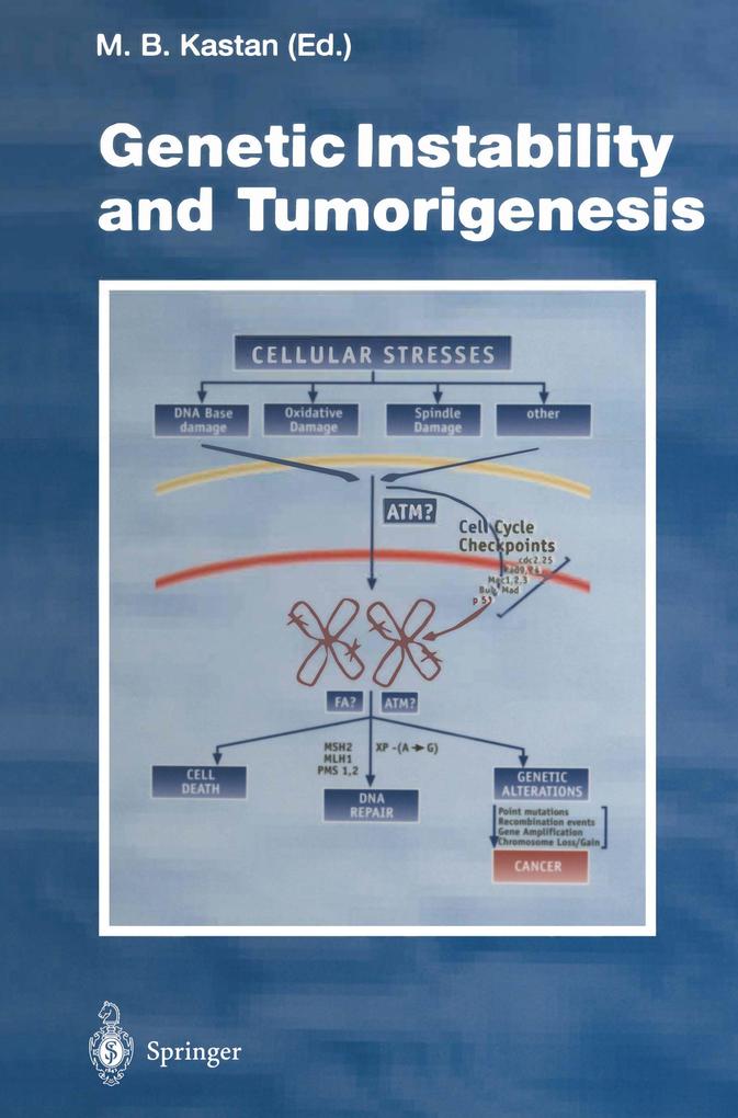 Genetic Instability and Tumorigenesis