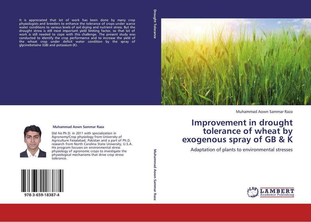 Improvement in drought tolerance of wheat by exogenous spray of GB & K