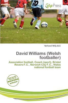 David Williams (Welsh footballer)