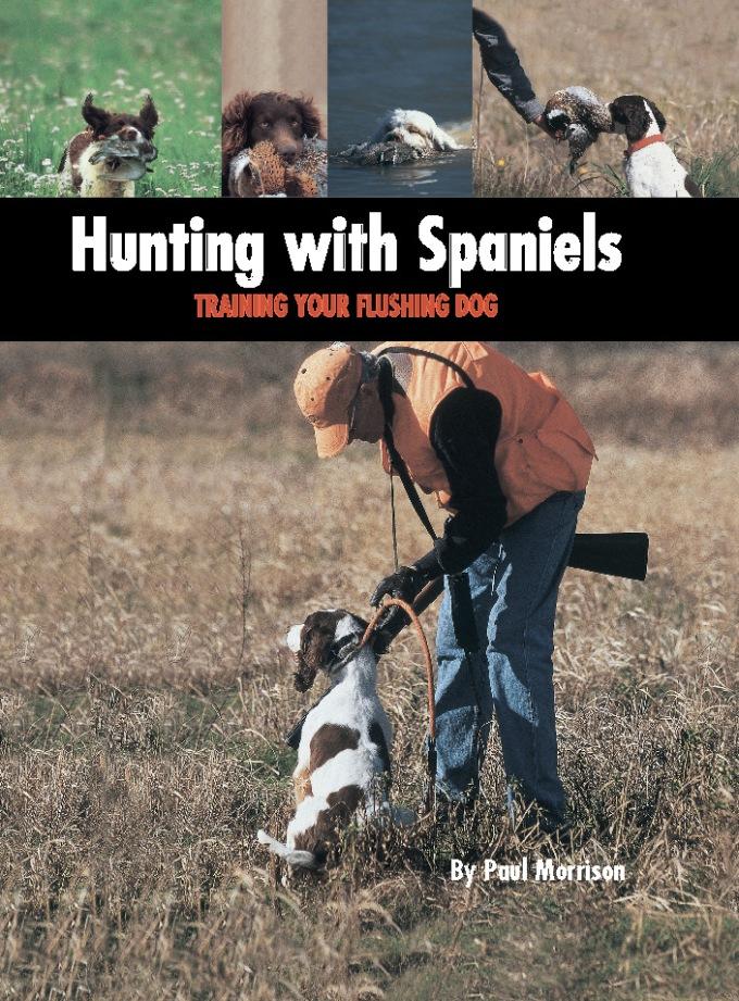 Hunting with Spaniels