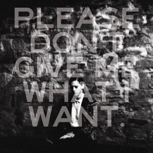 Please Don‘t Give Me What I Want (Lim.Ed.)
