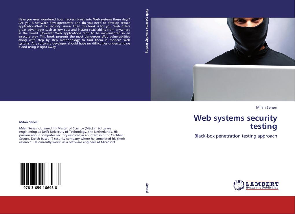 Web systems security testing