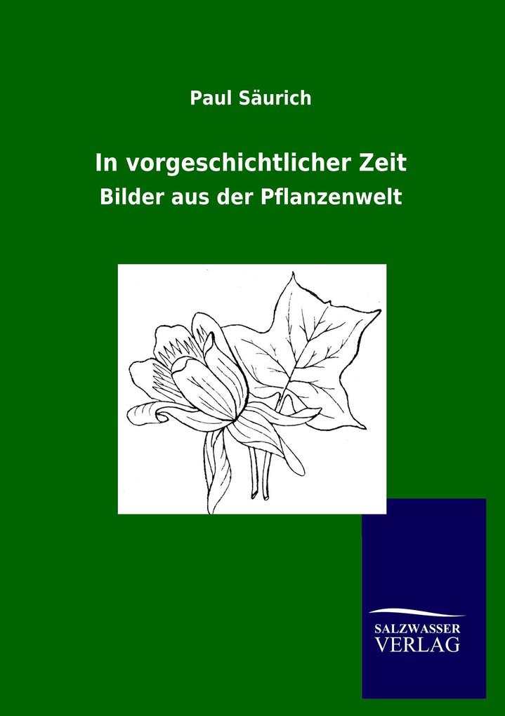 In vorgeschichtlicher Zeit