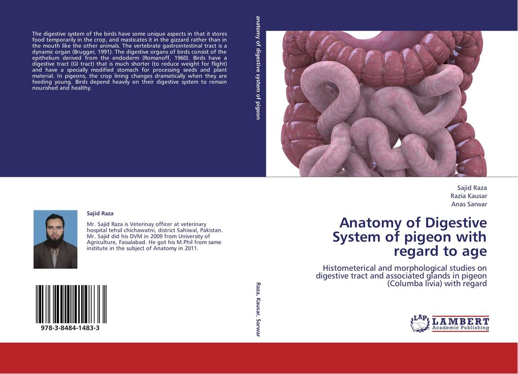 Anatomy of Digestive System of pigeon with regard to age