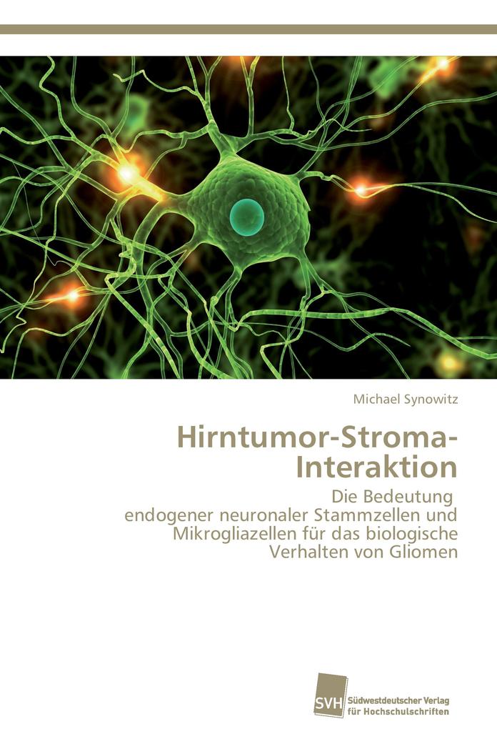 Hirntumor-Stroma-Interaktion
