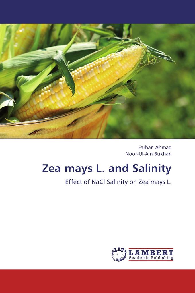 Zea mays L. and Salinity