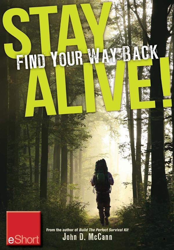 Stay Alive - Find Your Way Back eShort