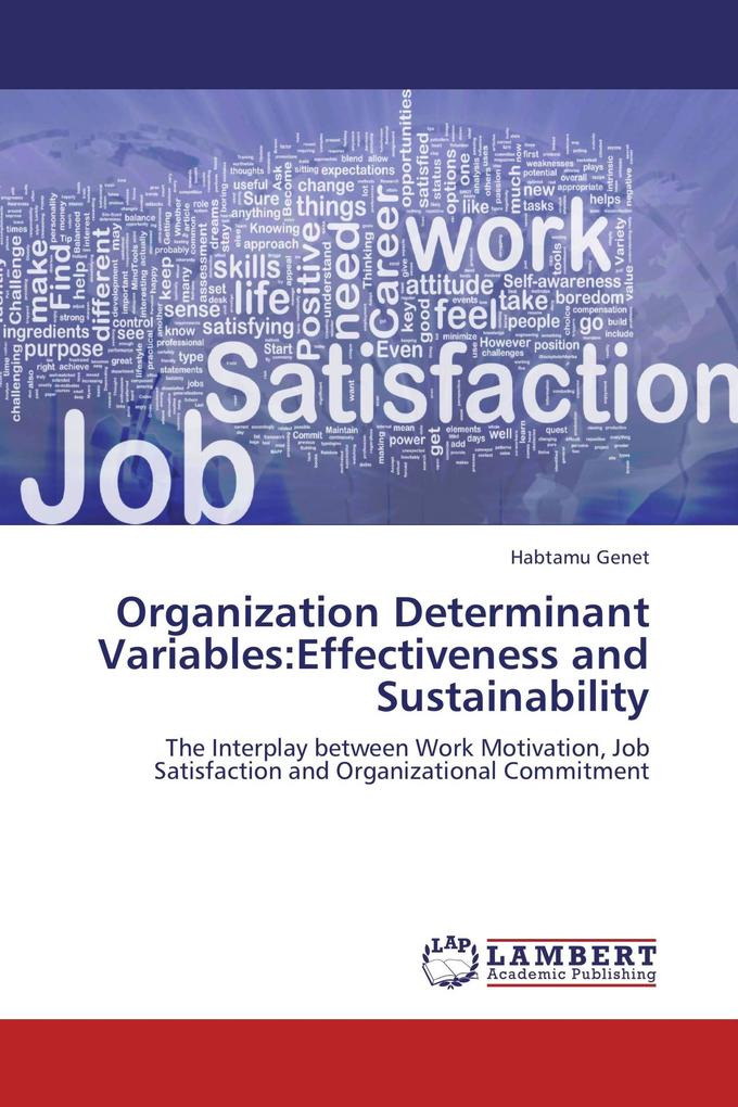 Organization Determinant Variables:Effectiveness and Sustainability