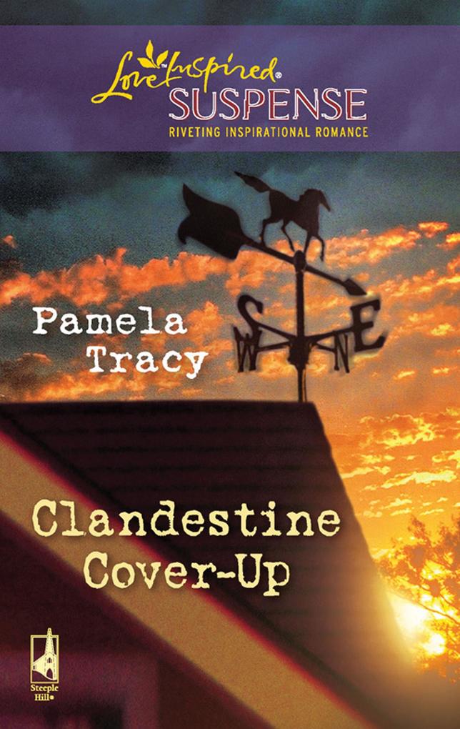 Clandestine Cover-Up (Mills & Boon Love Inspired)