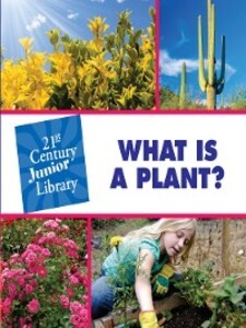 What is a Plant? als eBook Download von Pam Rosenberg - Pam Rosenberg