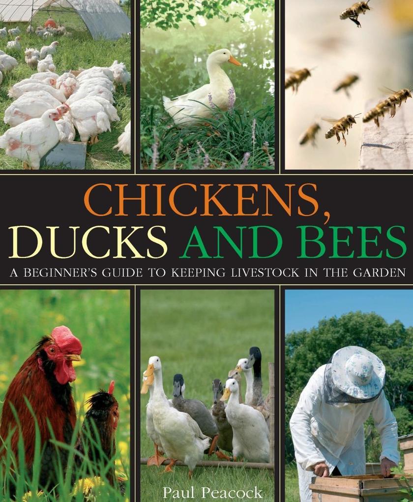 Chickens Ducks and Bees
