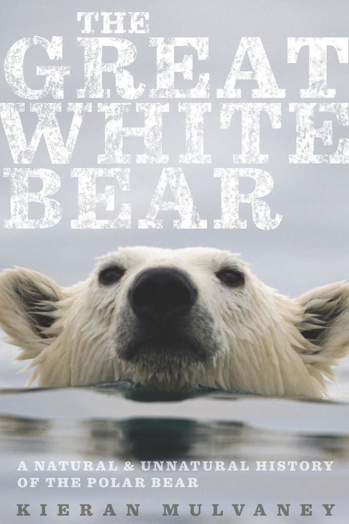 Great White Bear