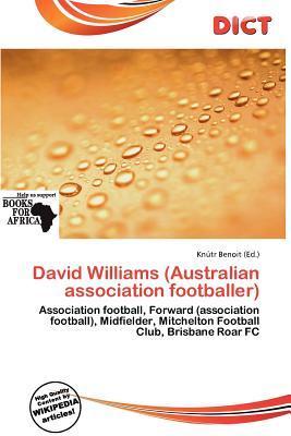 David Williams (Australian association footballer)