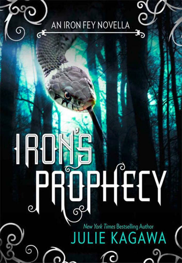 Iron‘s Prophecy (The Iron Fey)