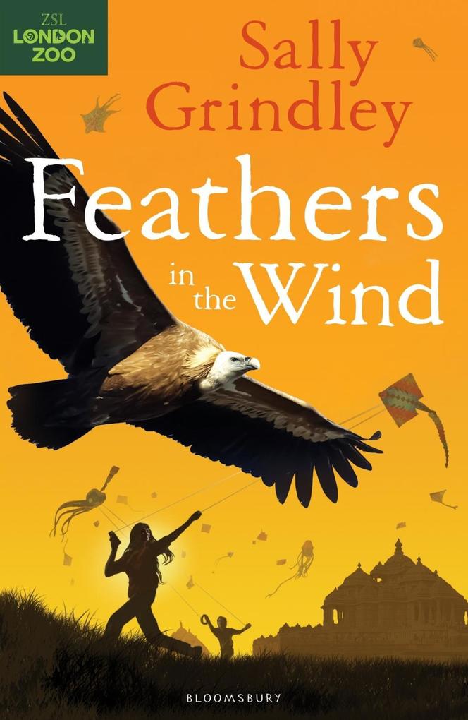 Feathers in the Wind - Sally Grindley