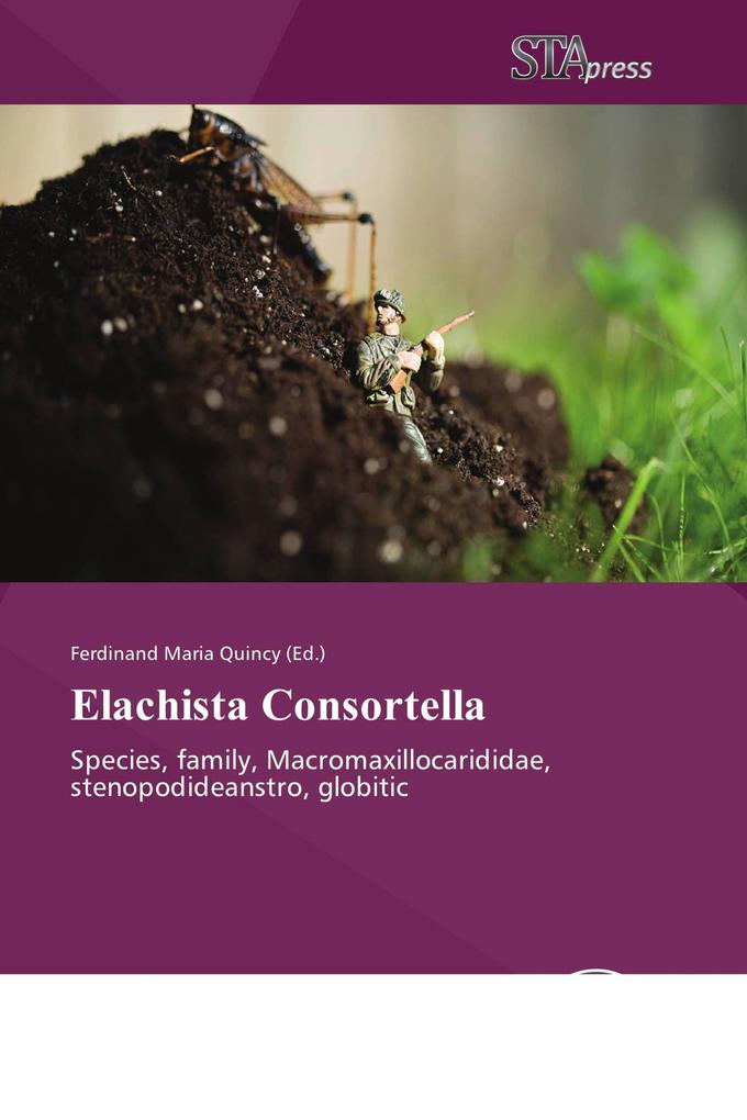 Elachista Consortella