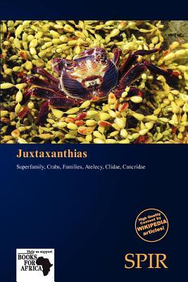 Juxtaxanthias