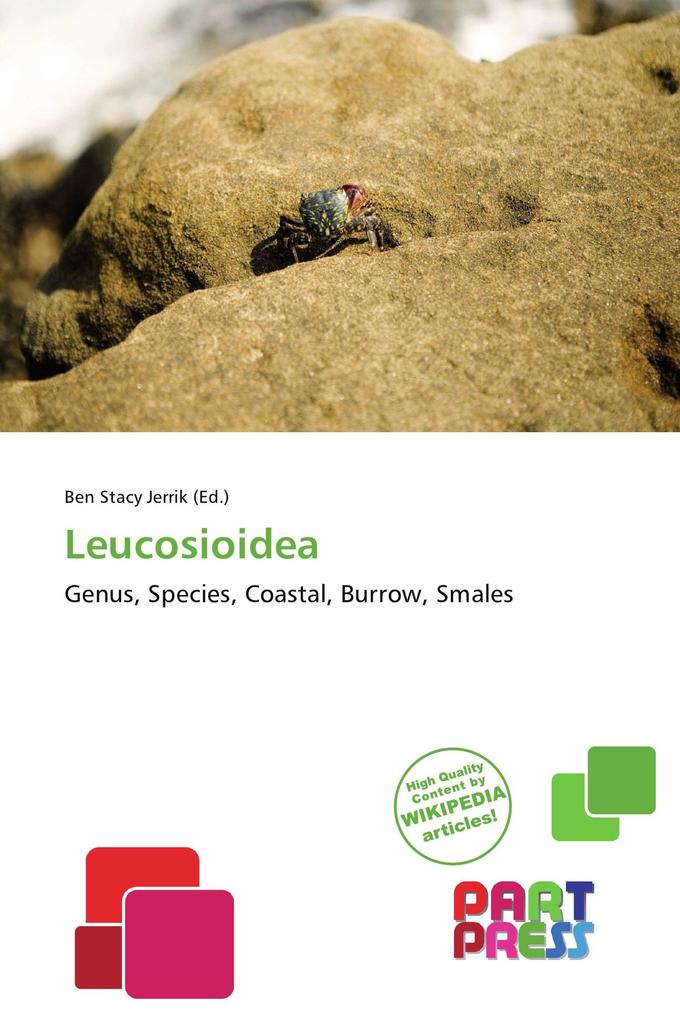 Leucosioidea