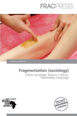 Fragmentation (sociology)