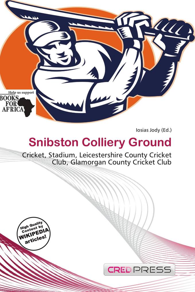 Snibston Colliery Ground