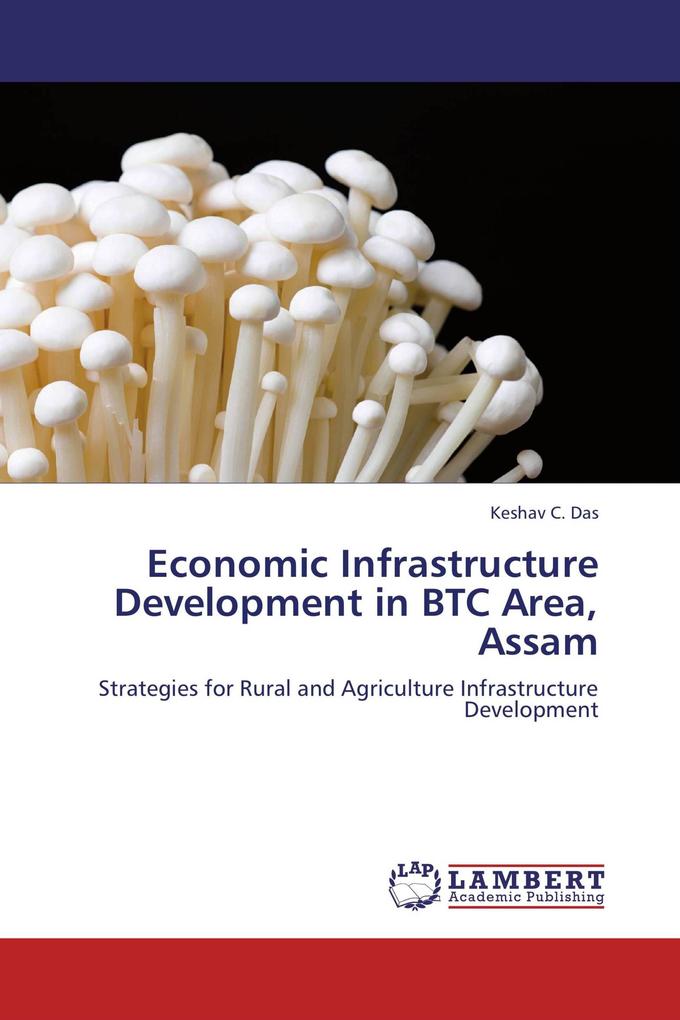 Economic Infrastructure Development in BTC Area Assam