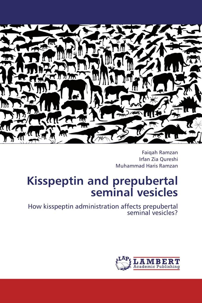 Kisspeptin and prepubertal seminal vesicles