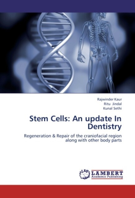 Stem Cells: An update In Dentistry