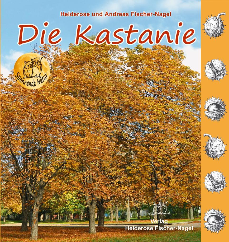 Image of Die Kastanie