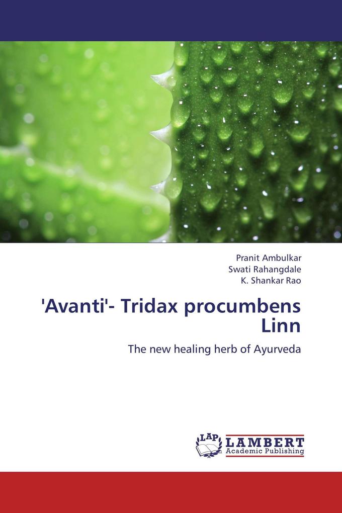 'Avanti'- Tridax procumbens Linn
