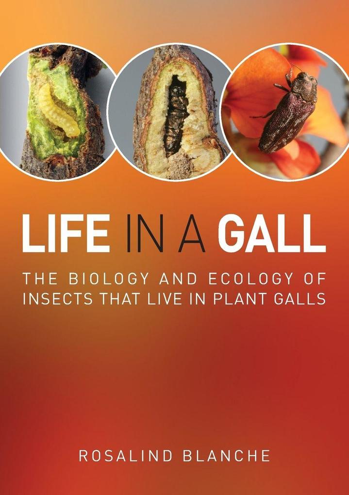 Life in a Gall