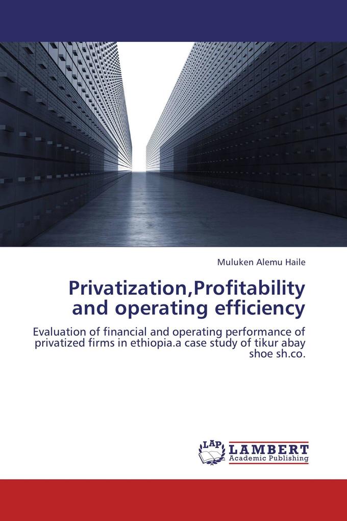 PrivatizationProfitability and operating efficiency