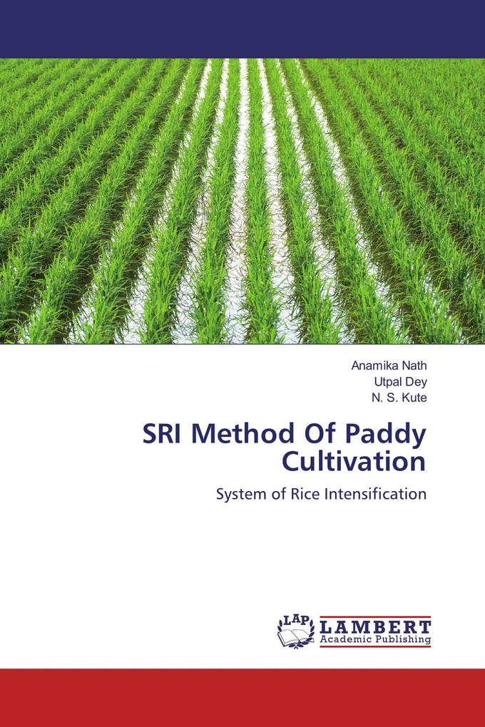 SRI Method Of Paddy Cultivation