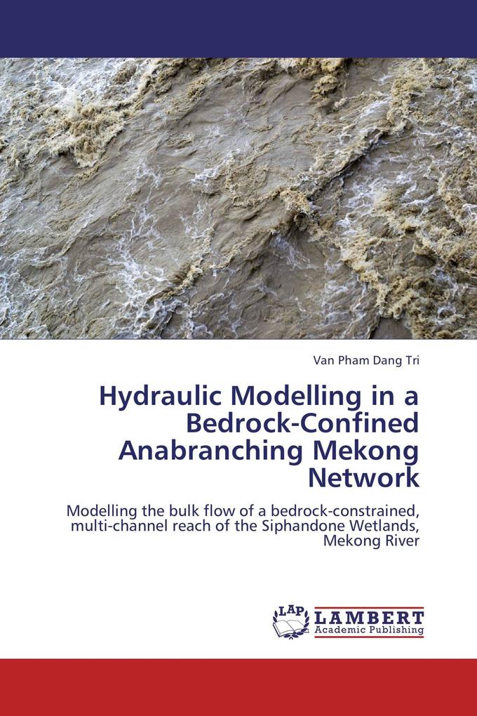 Hydraulic Modelling in a Bedrock-Confined Anabranching Mekong Network