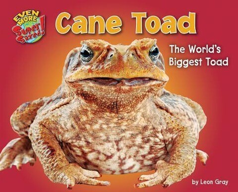 Cane Toad: The World‘s Biggest Toad
