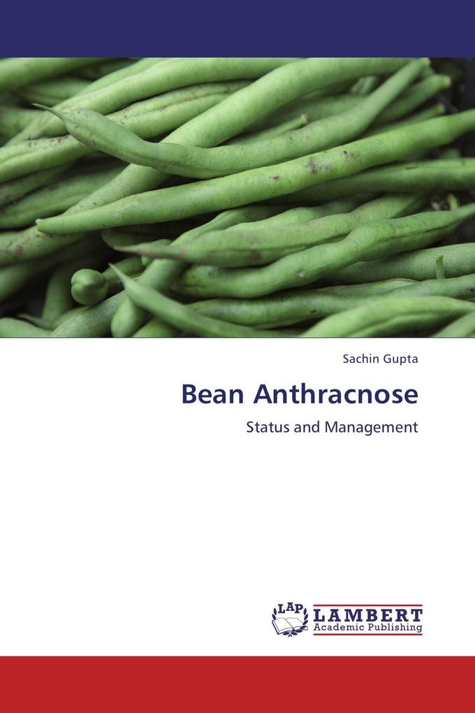 Bean Anthracnose